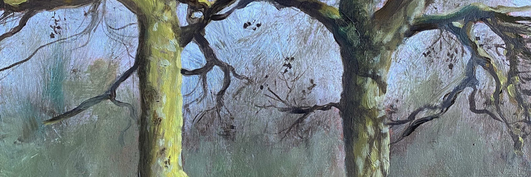 Twee bomen in Heemstede