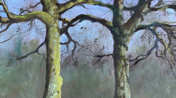 Twee bomen in Heemstede