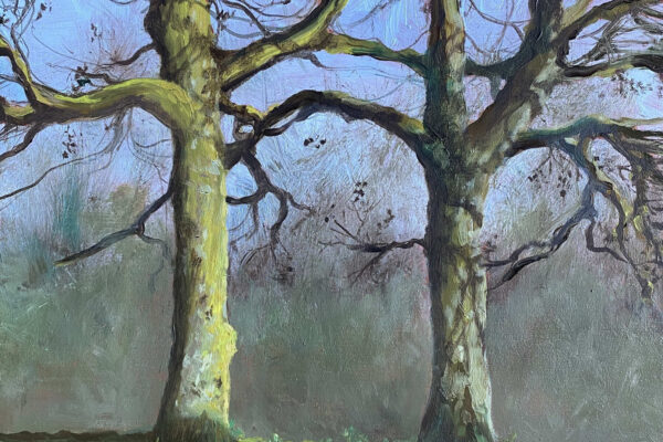 Twee bomen in Heemstede