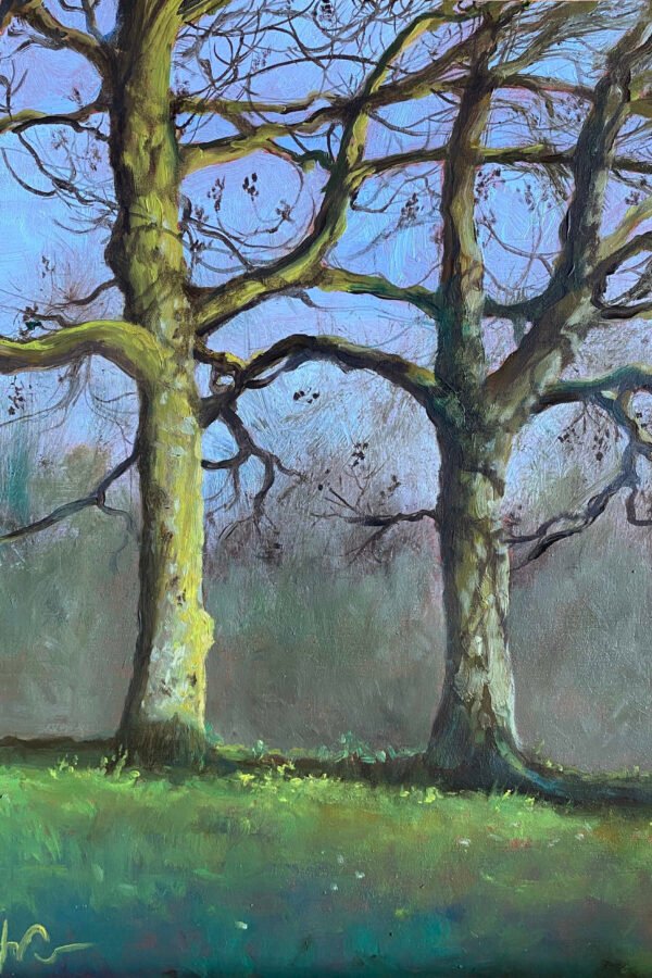 Twee bomen in Heemstede