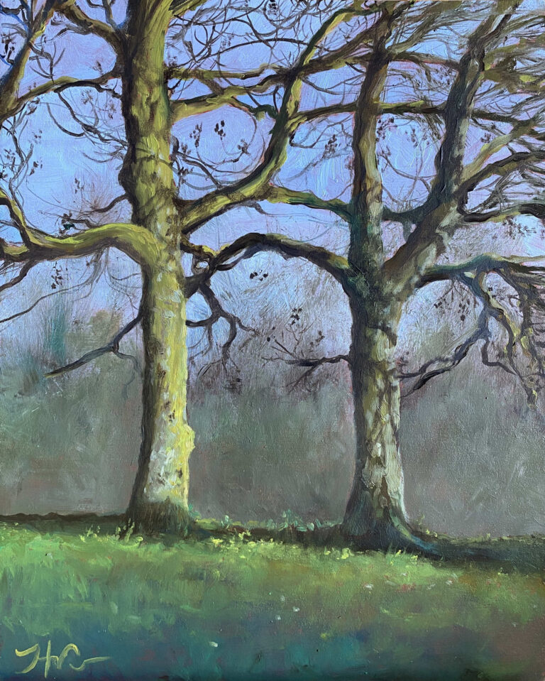 Twee bomen in Heemstede