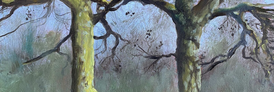 Twee bomen in Heemstede